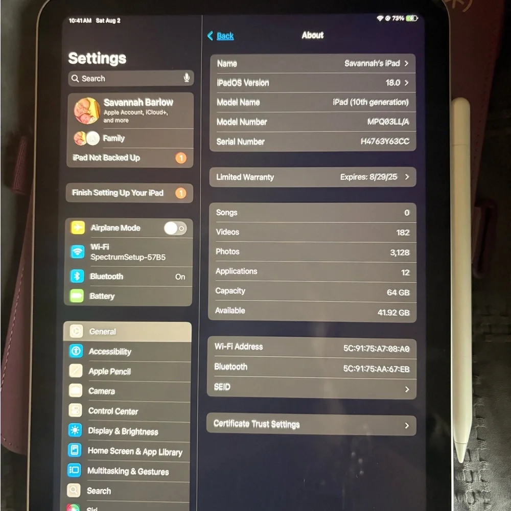 Apple Tablet - Sleek Silver Finish